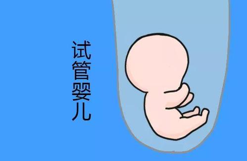 关于瑞柏国际医院